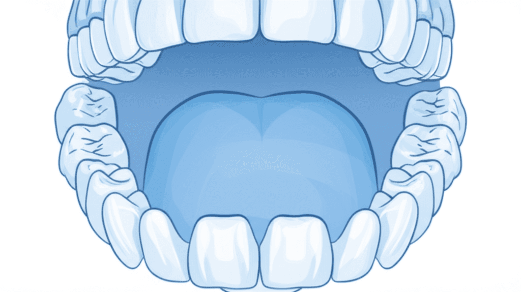 固定式矯正装置装着患者における電動歯ブラシと手用歯ブラシの比較:システマティックレビューおよびメタ解析
